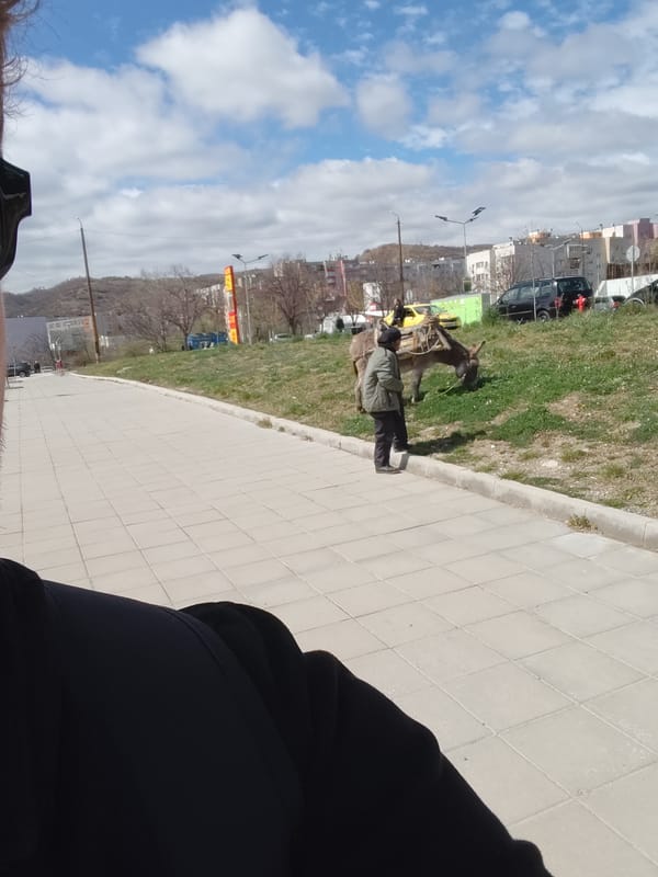 Elderly person leads loaded donkey near grocery store in Bulgaria