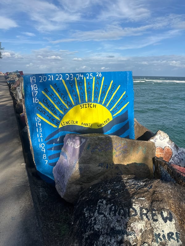 Nambucca Heads breakwater and its graffiti-covered rocks