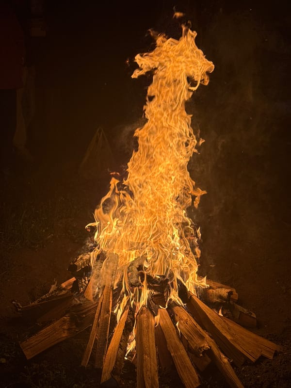 Five people gather around nighttime bonfire in Ust-Koksa, Russia