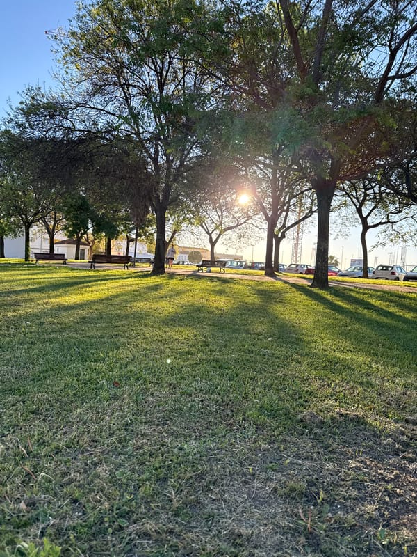 Morning sunlight creates long shadows in Huelva park