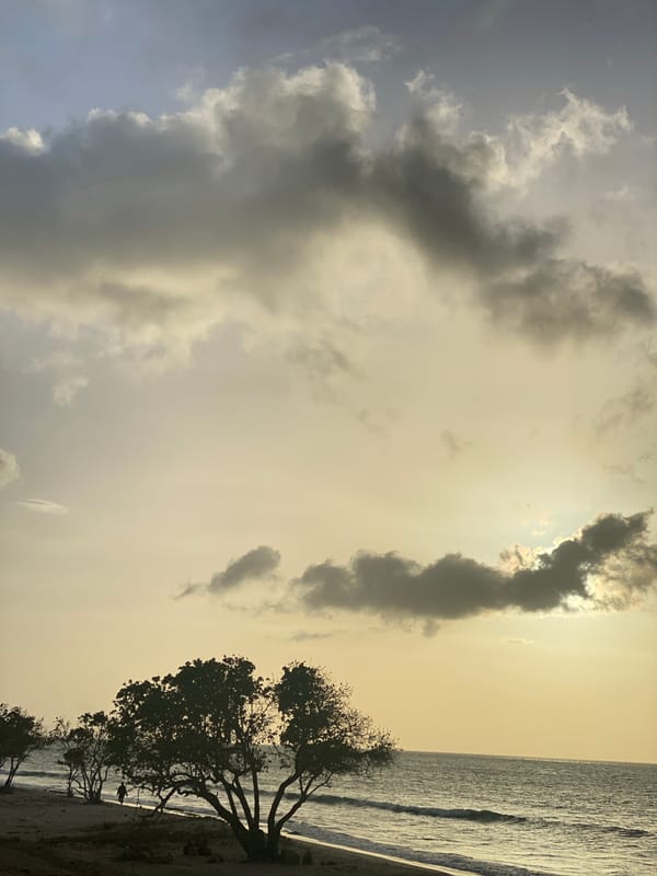 Sunset coastal scenes documented in Juan Griego, Venezuela