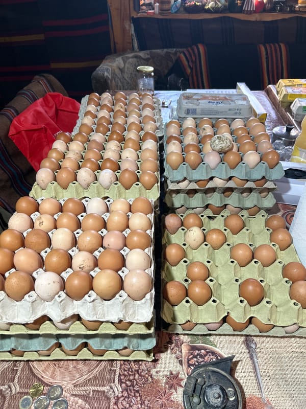 Rural home interior with egg cartons documented in Slanchevo