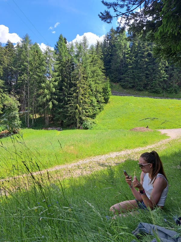 Summer day hiking and hanging out in an alpine meadow