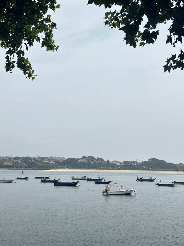 Boats moored along Porto's Douro River on a summer afternoon