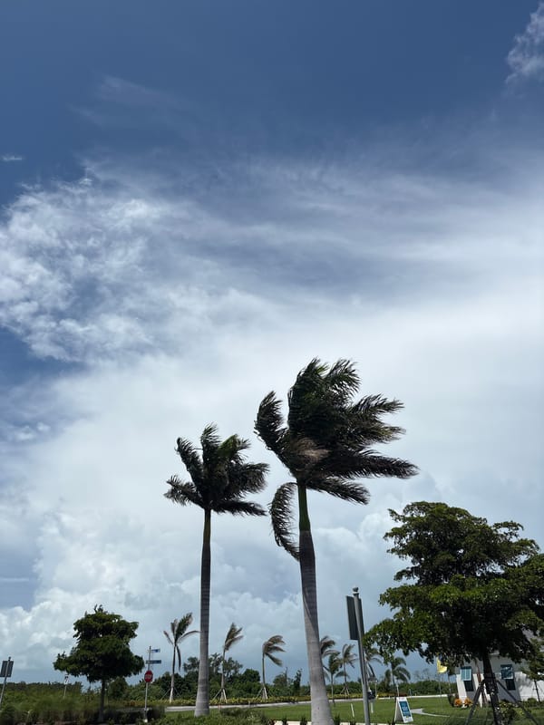 Gated community in Bradenton, Florida — palms, white homes, waterfront.