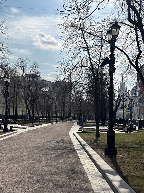 Moscow park walkway documented amid bare spring trees