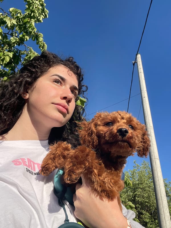 Woman documents afternoon with pets in Sofia, Bulgaria