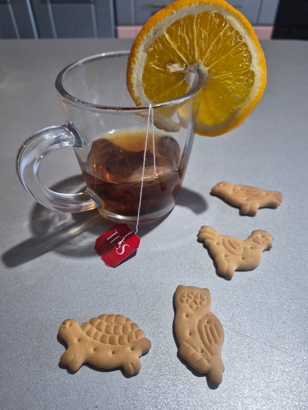 Person enjoys tea with orange slice and biscuits