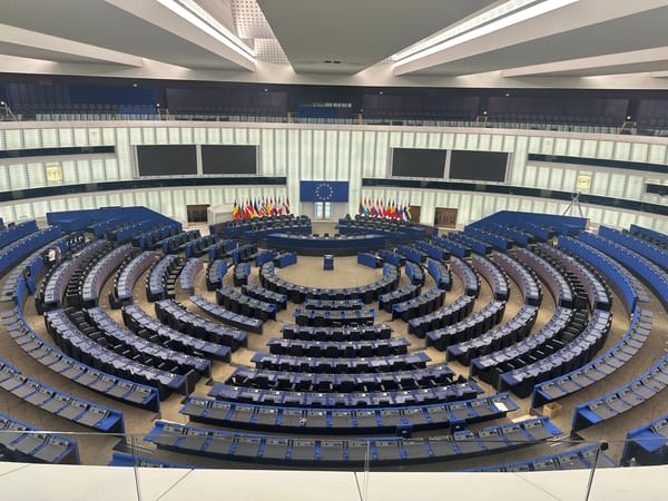 Visitor tours European Parliament building, attends presentation in Strasbourg