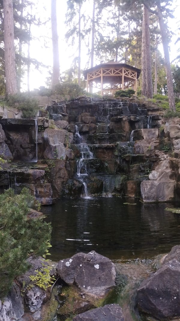 Evening stroll through Schönbrunn's ponds, waterfalls, and garden paths