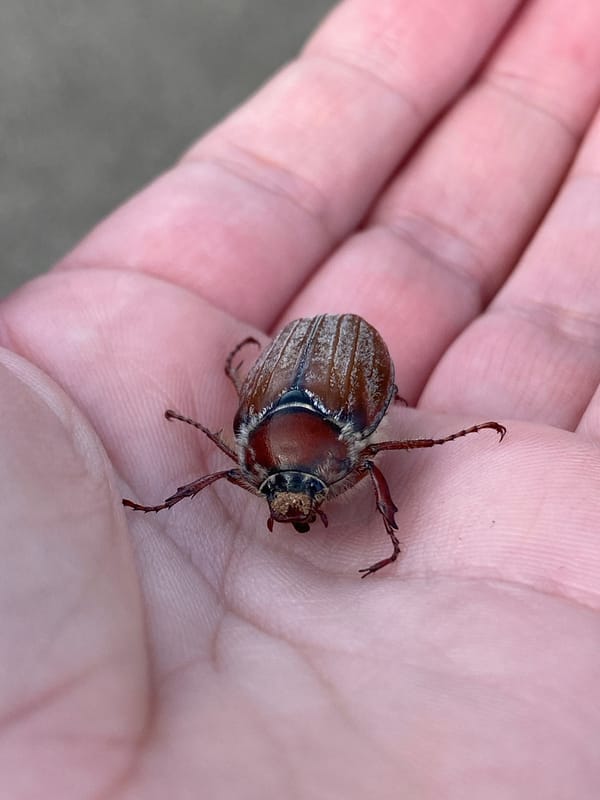 Daily life moments documented across Markovskii, Russia