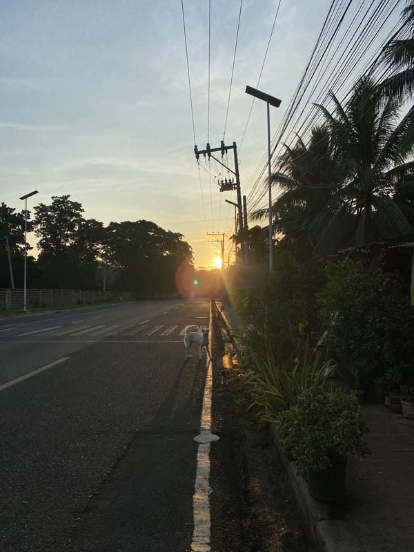 Evening documentation of daily life across Davao City