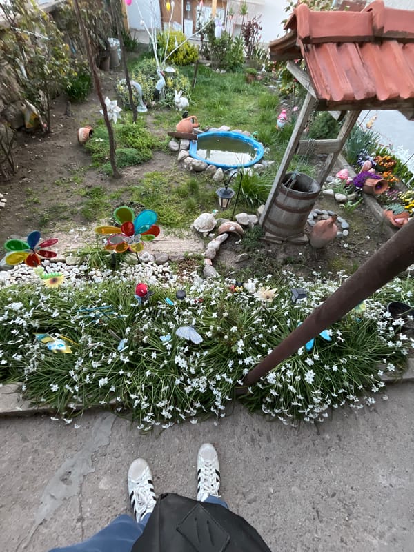 Woman pets dog in garden setting in Karavelovo, Bulgaria