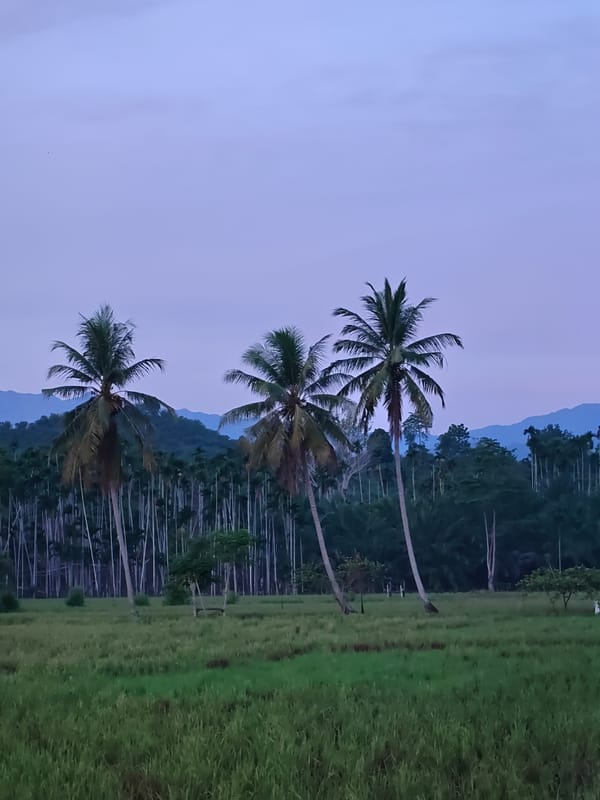 Witness documents twilight landscape in rural Indonesia over 16 minutes