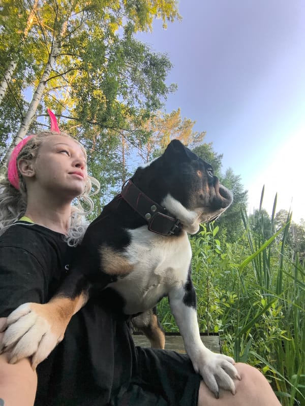 Afternoon dock hangout with a tri-color English Bulldog in Noviy