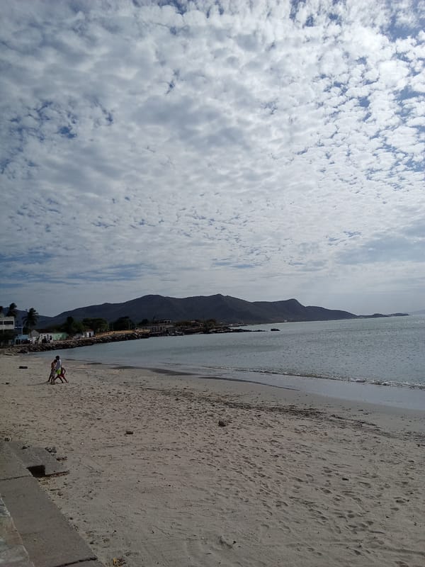 Woman in Brooklyn shirt photographed at Venezuelan beach