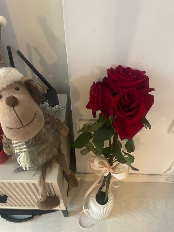 Woman documents daily routine with selfies and cooking in Sofia