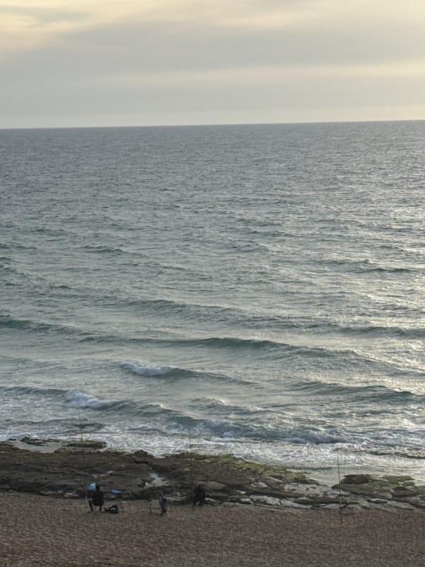 Coastal scene documented along Tel-Aviv Mediterranean shoreline