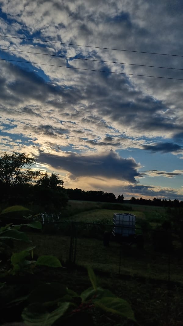 Scottish Fold cat dozes indoors while dramatic skies roll outside