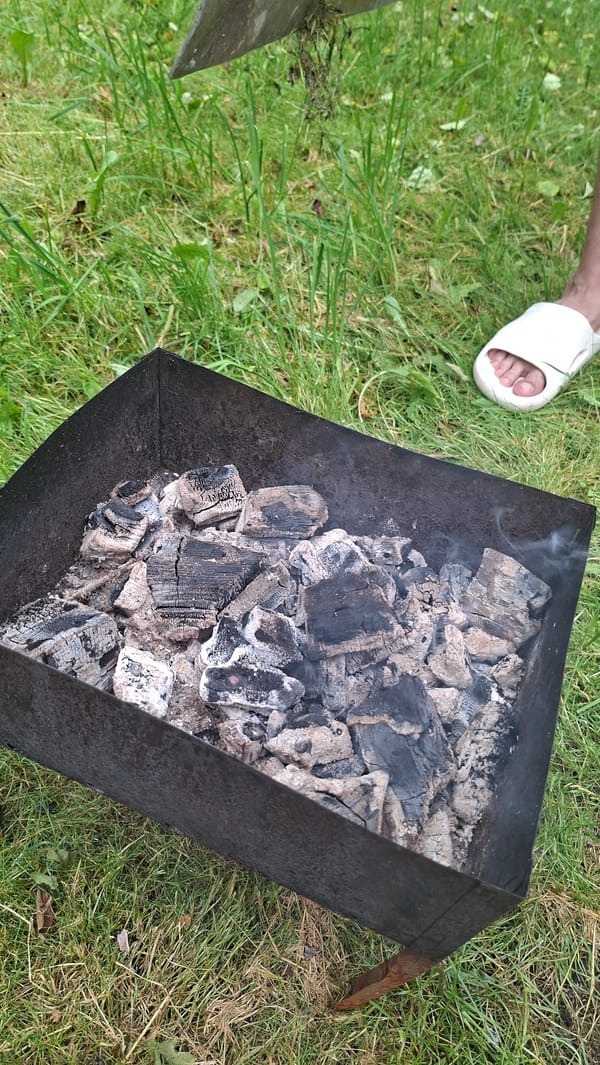 Rural Belarus backyard barbecue documented over one hour