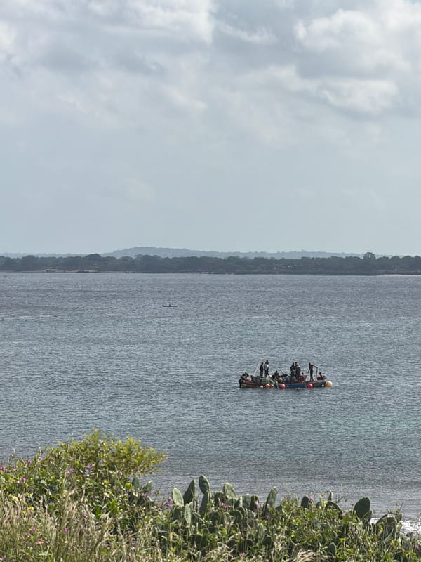 Morning drive captures daily life along Pemba coastline