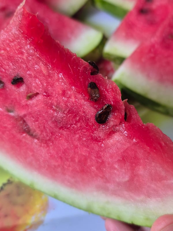 Watermelon and pancakes on a summer morning in Kokshetau