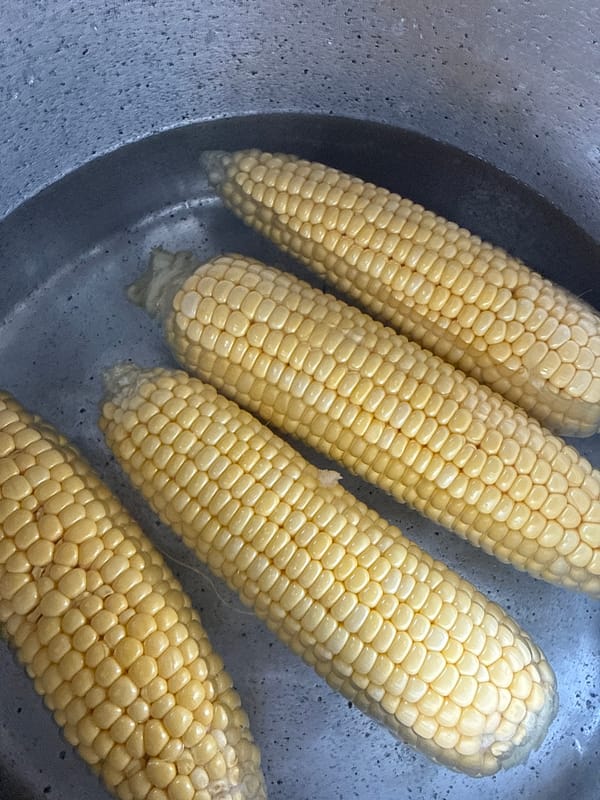 Slow afternoon in Kosh: corn, a covered car, and doves
