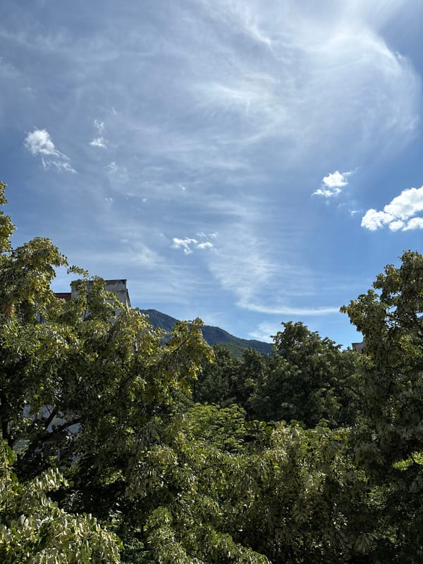 Lush treetop views over Vratsa with mountains in the background