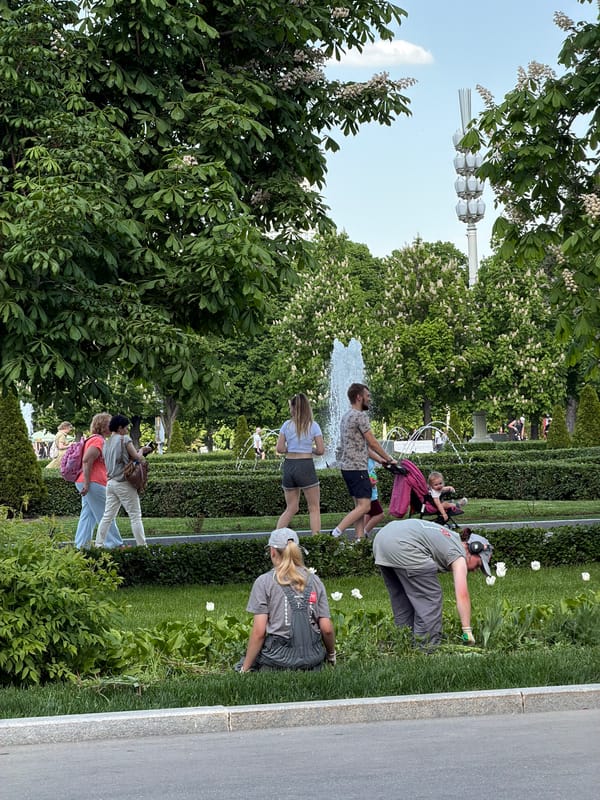 Spring day captured in Moscow park with blossoming trees