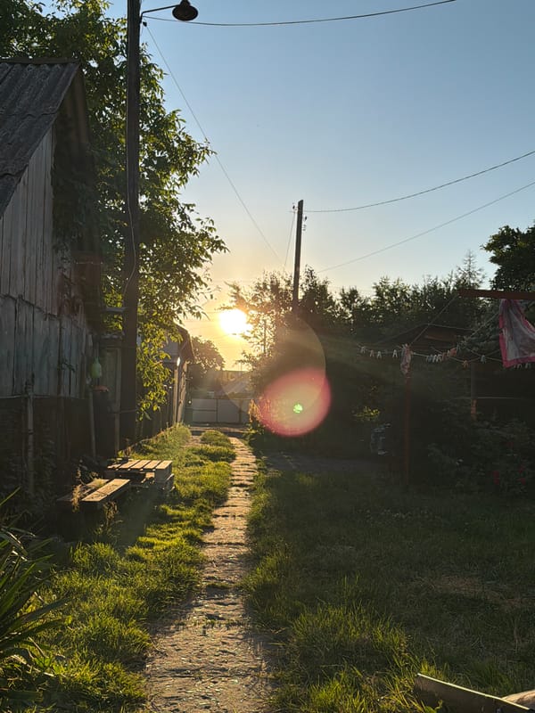 Summer evening chores and play around a rural backyard