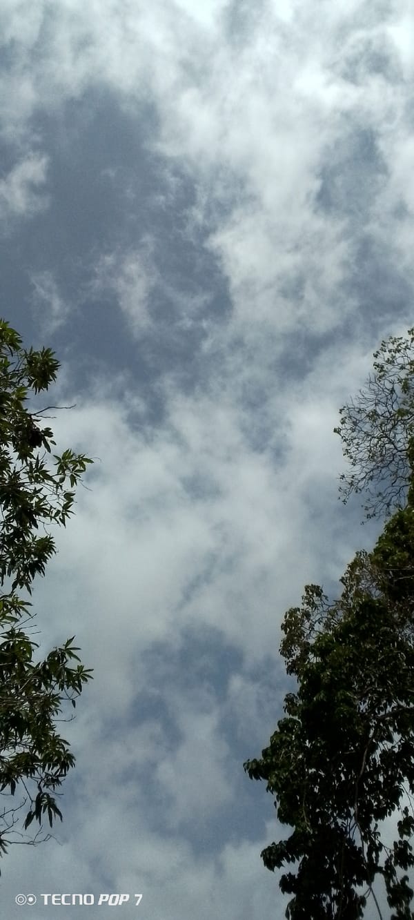 Sky-watching sequence captured in Altagracia Venezuela over ten minutes