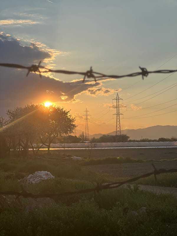 Rural Bulgaria sunset documented through gardens, fences, power lines