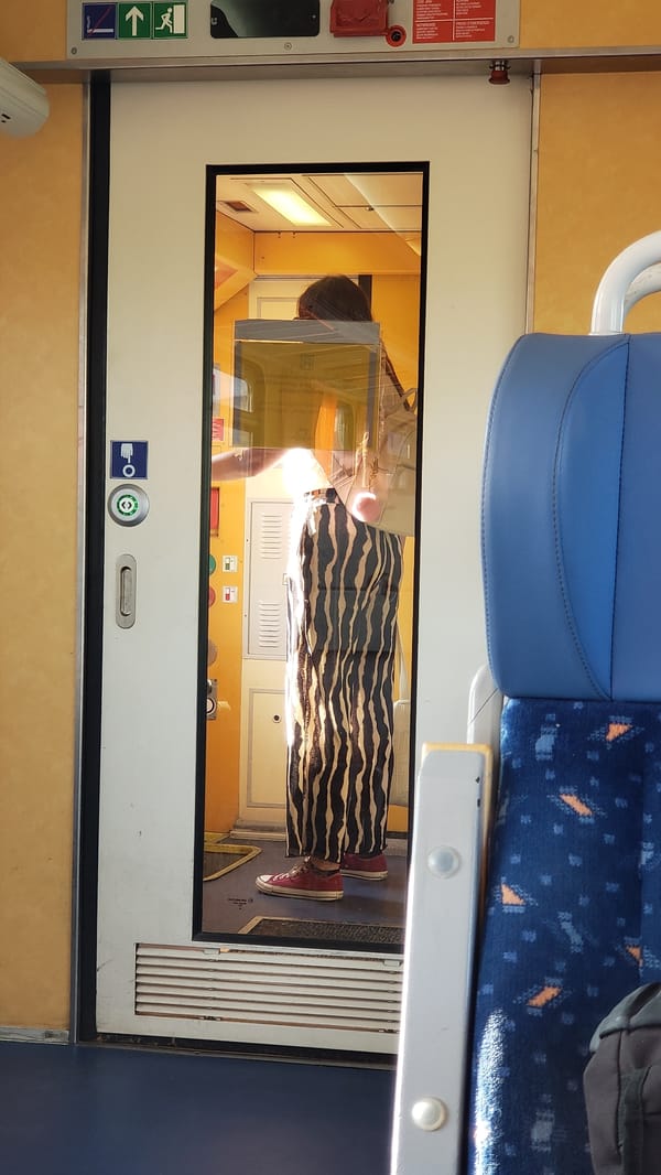 Train ride through rural and residential scenery