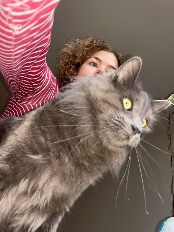 Woman documents morning routine with pets by Adriatic coast