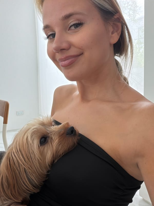 Chess game and a Yorkshire Terrier on a Thep Krasatti morning
