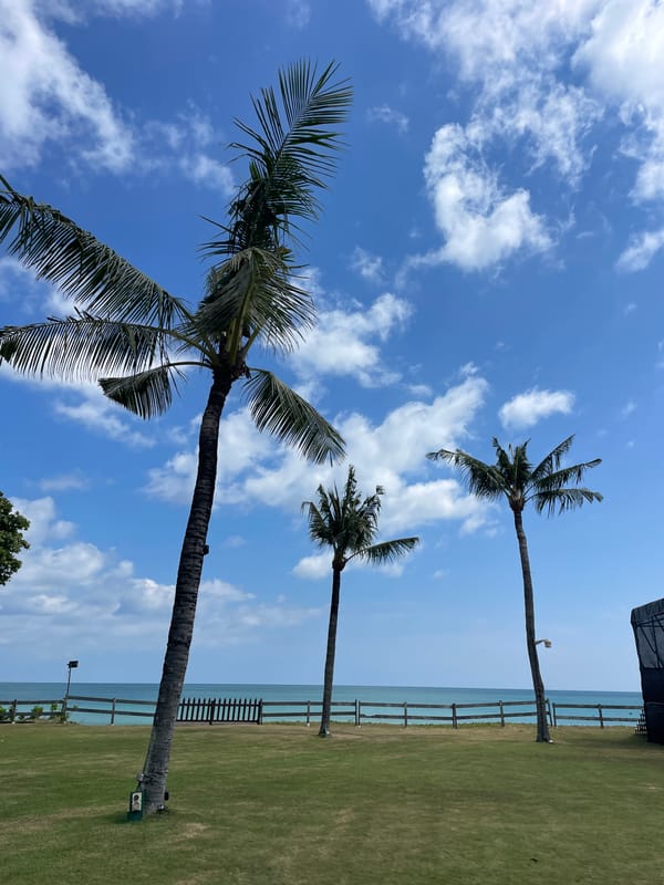 Tropical resort grounds documented in 18 memories over 8 minutes