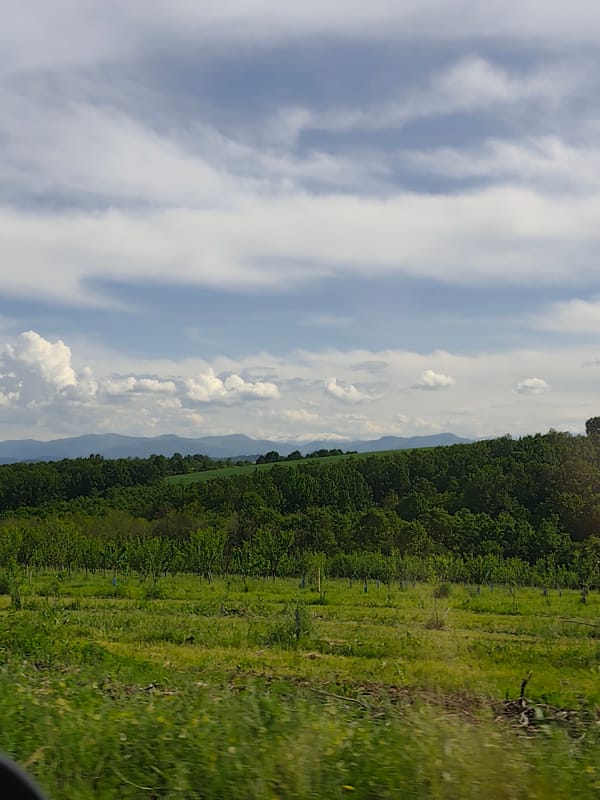 Rural highway journey documented through countryside landscapes
