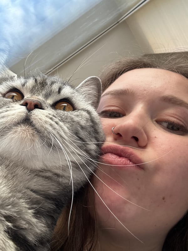 Woman's casual afternoon with cat and food documented in Izhevsk