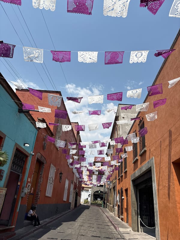 Street art and decorations documented across Cuernavaca
