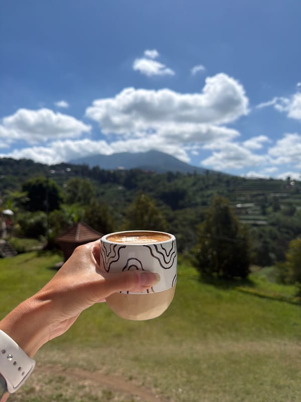 Coffee with a view at a Baturiti highland café