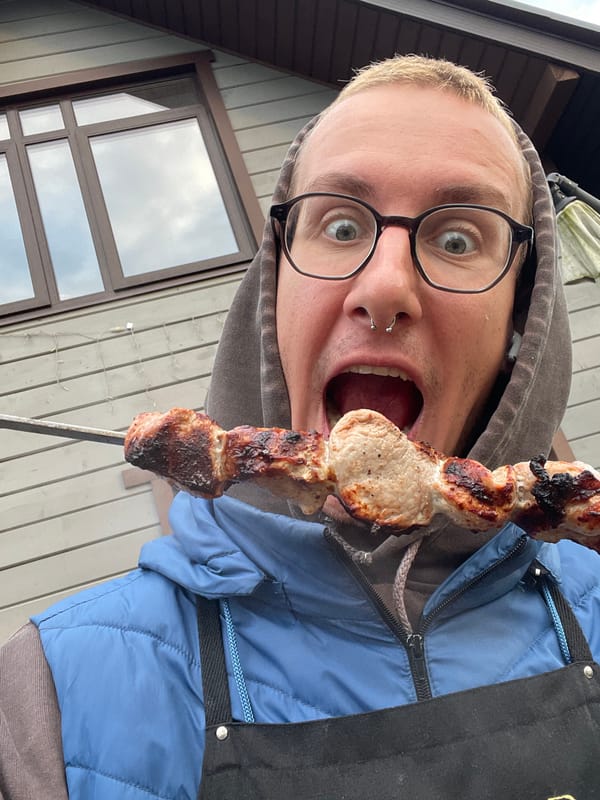 Backyard barbecue with dog captured in Sestroretsk