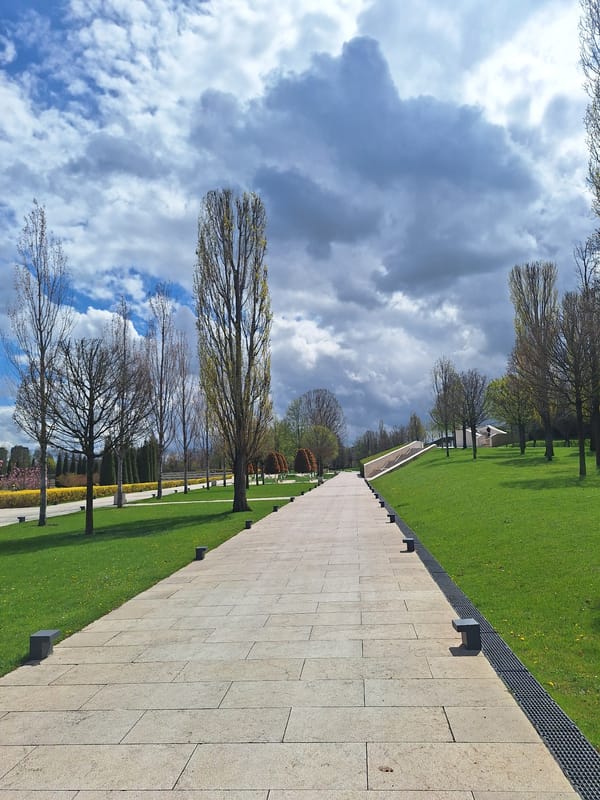 Urban park walkways and landscaping documented by witnesses
