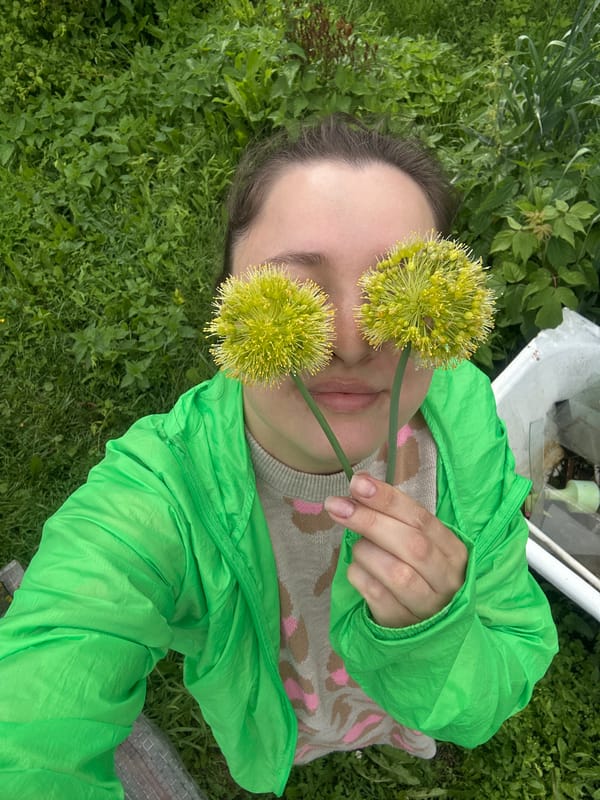Lazy summer afternoon in a Yaroslavka garden, flowers and all