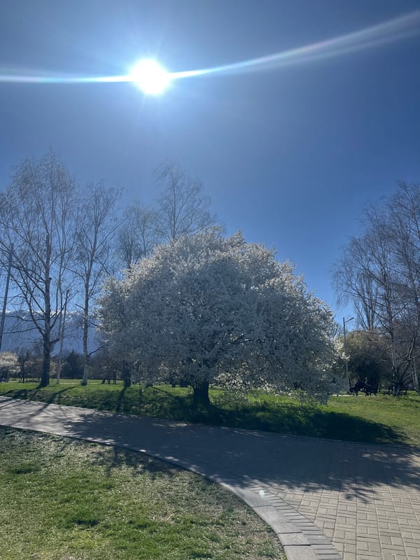 Clear spring day observed at Sofia park