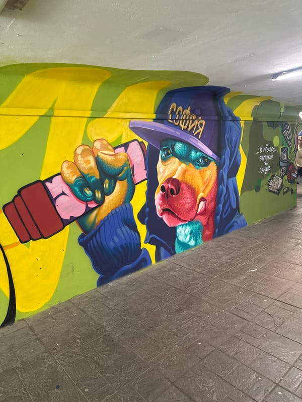 Street art murals documented in Sofia underpass