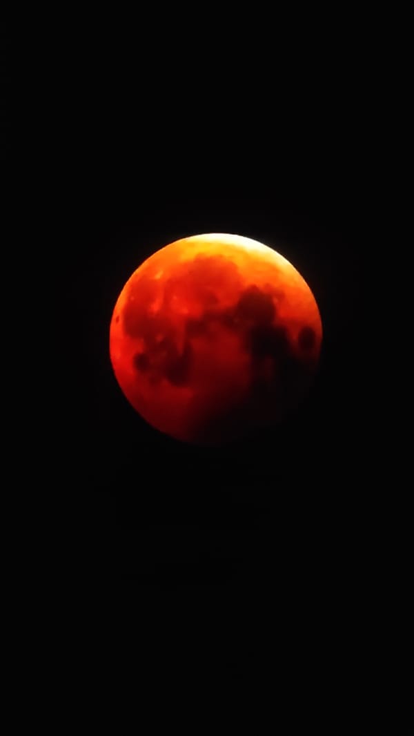 Blood moon and a Persian cat, same Madrid evening