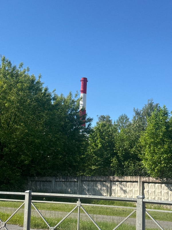 Woman documents industrial area visit with selfies in Russia
