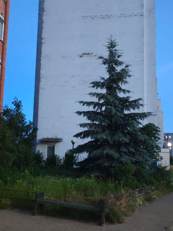 A quiet June evening in a Svietlahorsk apartment neighborhood