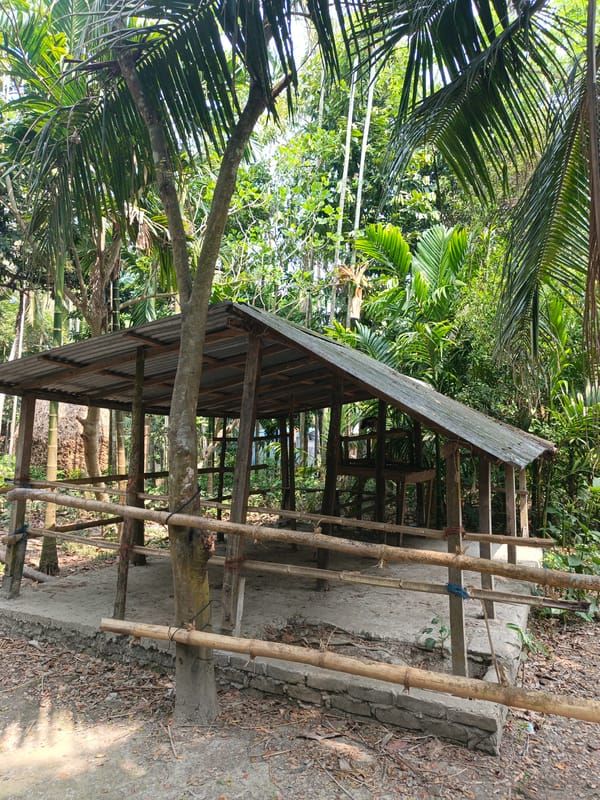 Rural structures documented in Ghosher Char, Bangladesh
