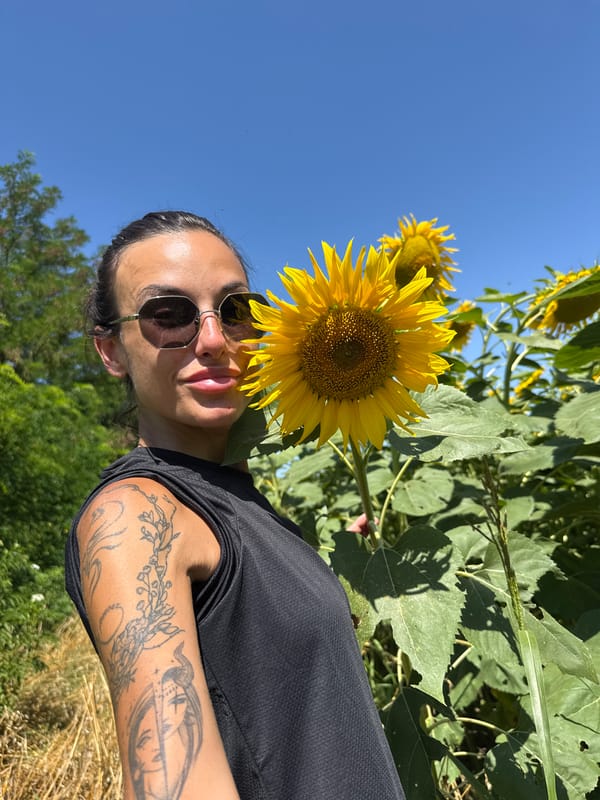 Sunflower field moment in Yasen, Bulgaria